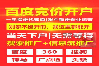 搜索引擎营销（SEM）的创意与执行——以多个行业成功案例为教学